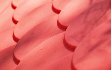 Short Street plastic roof costs