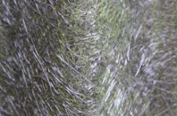 Short Street fibreglass roof work